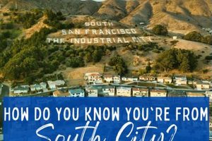 Discover South City: Hotels, Dining & More | Safem Fabrication - Precision Engineering & Custom Manufacturing Solutions