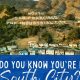 Discover South City: Hotels, Dining & More | Safem Fabrication - Precision Engineering & Custom Manufacturing Solutions