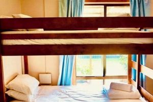 Long Term Motels Pet Friendly Crown American Hotels | Luxury, Comfort & Top Destinations Long Term Motels Pet Friendly | Crown American Hotels | Luxury, Comfort & Top Destinations