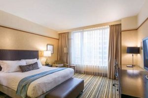Best Hotels for a Month Stay: Long Term Deals | Crown American Hotels | Luxury, Comfort & Top Destinations