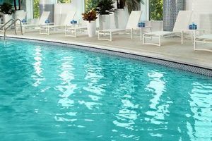 Best Motels Near Me with a Pool: Find Your Oasis Crown American Hotels | Luxury, Comfort & Top Destinations Best Motels Near Me with a Pool: Find Your Oasis | Crown American Hotels | Luxury, Comfort & Top Destinations