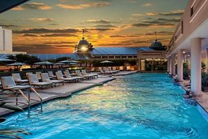 Top 5 Star Hotels in the USA: Luxury Stays Crown American Hotels | Luxury, Comfort & Top Destinations Top 5 Star Hotels in the USA: Luxury Stays | Crown American Hotels | Luxury, Comfort & Top Destinations