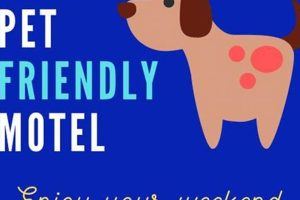 Find Pet-Friendly Motel 6 Near You Now! Crown American Hotels | Luxury, Comfort & Top Destinations Find Pet-Friendly Motel 6 Near You Now! | Crown American Hotels | Luxury, Comfort & Top Destinations