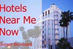 Book Hotels Near Me Open Now: Find Rooms Crown American Hotels | Luxury, Comfort & Top Destinations Book Hotels Near Me Open Now: Find Rooms | Crown American Hotels | Luxury, Comfort & Top Destinations