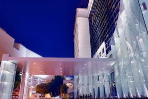 Best Hotel Angeles in America: Top Deals & Luxurious Stays | Crown American Hotels | Luxury, Comfort & Top Destinations