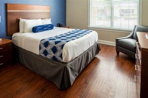 Best Room to Stay: Cozy Hotel Rooms Crown American Hotels | Luxury, Comfort & Top Destinations Best Room to Stay: Cozy Hotel Rooms | Crown American Hotels | Luxury, Comfort & Top Destinations