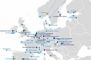 Find ESA Support & Resources Near Me | Crown American Hotels | Luxury, Comfort & Top Destinations