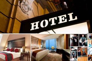 Best Hotels Near Me: Find Your Perfect Stay Crown American Hotels | Luxury, Comfort & Top Destinations Best Hotels Near Me: Find Your Perfect Stay | Crown American Hotels | Luxury, Comfort & Top Destinations