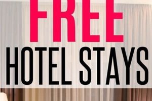 Score a Free Hotel Room for a Week: Epic Tips & Tricks Crown American Hotels | Luxury, Comfort & Top Destinations Score a Free Hotel Room for a Week: Epic Tips & Tricks | Crown American Hotels | Luxury, Comfort & Top Destinations