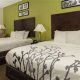 Best Sleep In & Suites Near Me: Find Deals | Crown American Hotels | Luxury, Comfort & Top Destinations