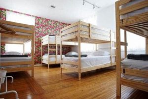 Best Downtown LA Hostels: Budget Stays in CA Crown American Hotels | Luxury, Comfort & Top Destinations Best Downtown LA Hostels: Budget Stays in CA | Crown American Hotels | Luxury, Comfort & Top Destinations