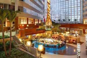 Best Hotels in Greenville SC | Google Hotel Finder Crown American Hotels | Luxury, Comfort & Top Destinations Best Hotels in Greenville SC | Google Hotel Finder | Crown American Hotels | Luxury, Comfort & Top Destinations