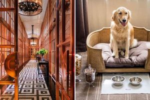 Luxury Pet Grand Hotel Reviews & Ratings Crown American Hotels | Luxury, Comfort & Top Destinations Luxury Pet Grand Hotel Reviews & Ratings | Crown American Hotels | Luxury, Comfort & Top Destinations