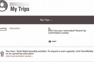 Book Marriott Hotels: Reservation Phone Numbers & Support Crown American Hotels | Luxury, Comfort & Top Destinations Book Marriott Hotels: Reservation Phone Numbers & Support | Crown American Hotels | Luxury, Comfort & Top Destinations