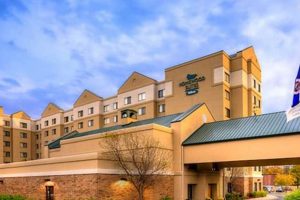 Best Hilton Hotels Near Mall of America: Top Picks Crown American Hotels | Luxury, Comfort & Top Destinations Best Hilton Hotels Near Mall of America: Top Picks | Crown American Hotels | Luxury, Comfort & Top Destinations