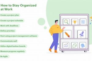 Effortless Stay Over Management Solutions | Crown American Hotels | Luxury, Comfort & Top Destinations