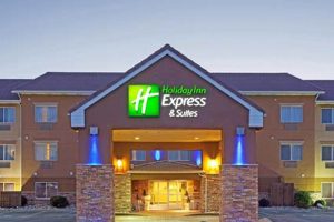 Pet-Friendly Holiday Inn Express Hotels: A Guide | Crown American Hotels | Luxury, Comfort & Top Destinations