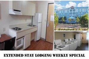 Best Homestead Extended Stay Suites & Deals | Crown American Hotels | Luxury, Comfort & Top Destinations