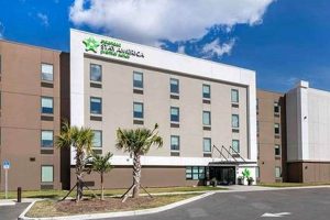 Stay America Tampa | Crown American Hotels | Luxury, Comfort & Top Destinations