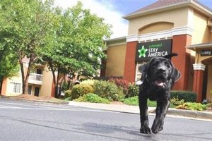 Pet-Friendly Extended Stay Hotels Near You | Crown American Hotels | Luxury, Comfort & Top Destinations