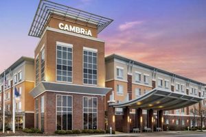 Best Suburban Hotels in America: Top Picks Crown American Hotels | Luxury, Comfort & Top Destinations Best Suburban Hotels in America: Top Picks | Crown American Hotels | Luxury, Comfort & Top Destinations