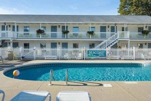 Best Hotel Motels in the Area: Top Local Picks Crown American Hotels | Luxury, Comfort & Top Destinations Best Hotel Motels in the Area: Top Local Picks | Crown American Hotels | Luxury, Comfort & Top Destinations