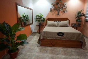 Find Cheap Motels & Save on Your Trip Crown American Hotels | Luxury, Comfort & Top Destinations Find Cheap Motels & Save on Your Trip | Crown American Hotels | Luxury, Comfort & Top Destinations