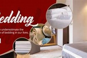 Best Hotel & Motel Supplies - Wholesale & Bulk Crown American Hotels | Luxury, Comfort & Top Destinations Best Hotel & Motel Supplies - Wholesale & Bulk | Crown American Hotels | Luxury, Comfort & Top Destinations