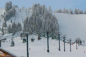 Best Snoqualmie Resorts: America's Top Hotels Crown American Hotels | Luxury, Comfort & Top Destinations Best Snoqualmie Resorts: America's Top Hotels | Crown American Hotels | Luxury, Comfort & Top Destinations