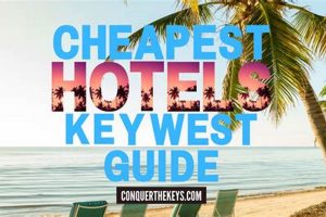 Find the Best Cheap Stays & Deals | Stay Hotel Crown American Hotels | Luxury, Comfort & Top Destinations Find the Best Cheap Stays & Deals | Stay Hotel | Crown American Hotels | Luxury, Comfort & Top Destinations