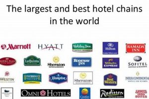 Best Hotel Chains in America: 2024 Guide Crown American Hotels | Luxury, Comfort & Top Destinations Best Hotel Chains in America: 2024 Guide | Crown American Hotels | Luxury, Comfort & Top Destinations