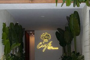 Discover Ciy Hotel: America's Hidden Gem Crown American Hotels | Luxury, Comfort & Top Destinations Discover Ciy Hotel: America's Hidden Gem | Crown American Hotels | Luxury, Comfort & Top Destinations