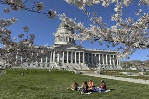 Best Places to Stay in SLC | Top Hotels & More Crown American Hotels | Luxury, Comfort & Top Destinations Best Places to Stay in SLC | Top Hotels & More | Crown American Hotels | Luxury, Comfort & Top Destinations