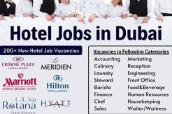 Best Hotels Near Me with Vacancy Tonight! Crown American Hotels | Luxury, Comfort & Top Destinations Best Hotels Near Me with Vacancy Tonight! | Crown American Hotels | Luxury, Comfort & Top Destinations