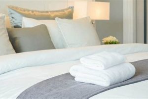 Find Cheap Auto Parts in Modesto on Craigslist Crown American Hotels | Luxury, Comfort & Top Destinations Find Cheap Auto Parts in Modesto on Craigslist | Crown American Hotels | Luxury, Comfort & Top Destinations