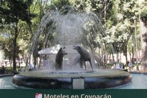 Find Car Motels Near You | Motel Deals Crown American Hotels | Luxury, Comfort & Top Destinations Find Car Motels Near You | Motel Deals | Crown American Hotels | Luxury, Comfort & Top Destinations