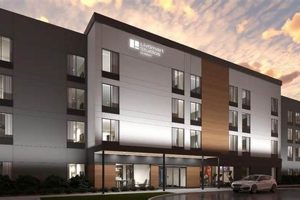 Best Extended Stay Hilton Hotels & Suites Crown American Hotels | Luxury, Comfort & Top Destinations Best Extended Stay Hilton Hotels & Suites | Crown American Hotels | Luxury, Comfort & Top Destinations
