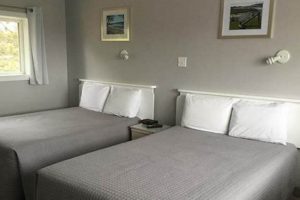 Find Cheap Motel Rooms for Rent Near You Crown American Hotels | Luxury, Comfort & Top Destinations Find Cheap Motel Rooms for Rent Near You | Crown American Hotels | Luxury, Comfort & Top Destinations