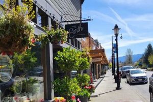 Discover Snoqualmie: Hotels & Experiences Crown American Hotels | Luxury, Comfort & Top Destinations Discover Snoqualmie: Hotels & Experiences | Crown American Hotels | Luxury, Comfort & Top Destinations
