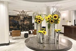 Best Hotels for a Week-Long Stay: Top Deals Crown American Hotels | Luxury, Comfort & Top Destinations Best Hotels for a Week-Long Stay: Top Deals | Crown American Hotels | Luxury, Comfort & Top Destinations