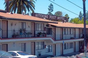 The Rise of the Post Motel Era: Redefining Roadside Lodging Crown American Hotels | Luxury, Comfort & Top Destinations The Rise of the Post Motel Era: Redefining Roadside Lodging | Crown American Hotels | Luxury, Comfort & Top Destinations