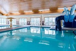 Extended Stay Pet Friendly Hotels Near Me Crown American Hotels | Luxury, Comfort & Top Destinations Extended Stay Pet Friendly Hotels Near Me | Crown American Hotels | Luxury, Comfort & Top Destinations