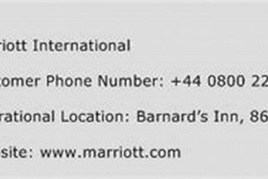 Find Marriott Hotel Phone Numbers Quickly Crown American Hotels | Luxury, Comfort & Top Destinations Find Marriott Hotel Phone Numbers Quickly | Crown American Hotels | Luxury, Comfort & Top Destinations
