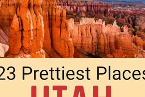 Top Utah Cities to Explore in 2024 Crown American Hotels | Luxury, Comfort & Top Destinations Top Utah Cities to Explore in 2024 | Crown American Hotels | Luxury, Comfort & Top Destinations
