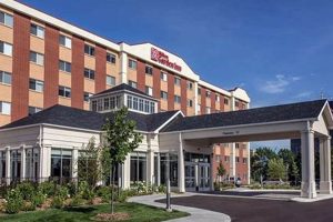 Best Mall of America Hilton Hotels: Top Picks Crown American Hotels | Luxury, Comfort & Top Destinations Best Mall of America Hilton Hotels: Top Picks | Crown American Hotels | Luxury, Comfort & Top Destinations