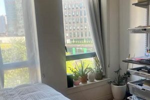 Best Short Stay Hotels in Brooklyn NY Crown American Hotels | Luxury, Comfort & Top Destinations Best Short Stay Hotels in Brooklyn NY | Crown American Hotels | Luxury, Comfort & Top Destinations