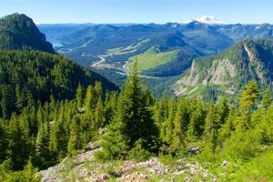 Snoqualmi Crown American Hotels | Luxury, Comfort & Top Destinations Snoqualmi | Crown American Hotels | Luxury, Comfort & Top Destinations