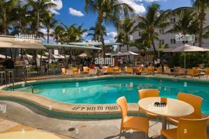 The Clevelander Hotel: Miami Beach Icon | Crown American Hotels | Luxury, Comfort & Top Destinations