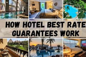 Find Best Rate Hotels in America: Top Deals Crown American Hotels | Luxury, Comfort & Top Destinations Find Best Rate Hotels in America: Top Deals | Crown American Hotels | Luxury, Comfort & Top Destinations