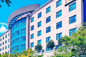 Hotel Near M Crown American Hotels | Luxury, Comfort & Top Destinations Hotel Near M | Crown American Hotels | Luxury, Comfort & Top Destinations
